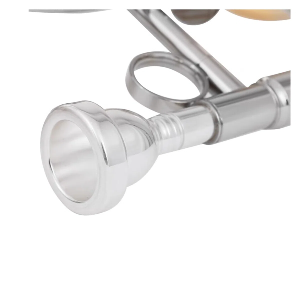 Trombón bajo en si bemol instrumento de interpretación profesional