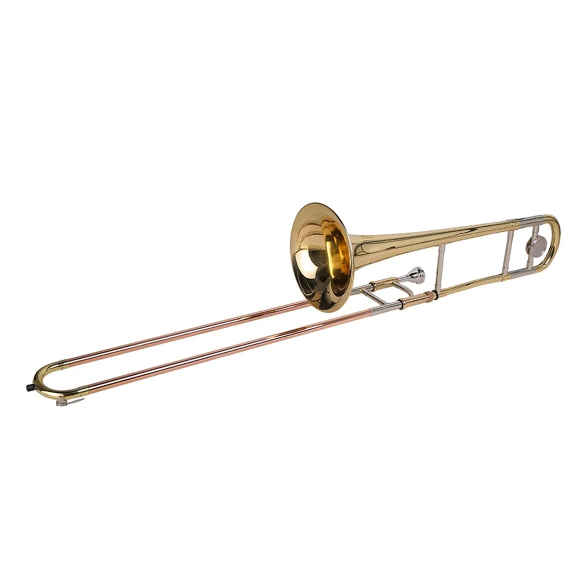 Trombón de práctica profesional para principiantes adultos