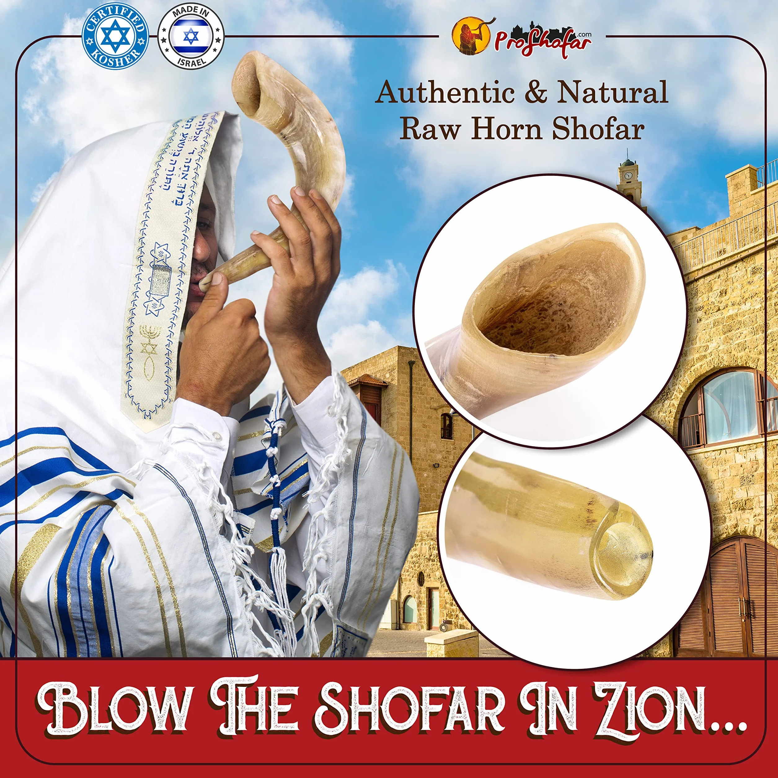 Shofar Set (bolsa de transporte de terciopelo, spray neutralizador de olores, cepillo de limpieza, guía y pulsera roja de Tierra Santa) Ram Shofar pulido, Kosher fabricado en Israel
